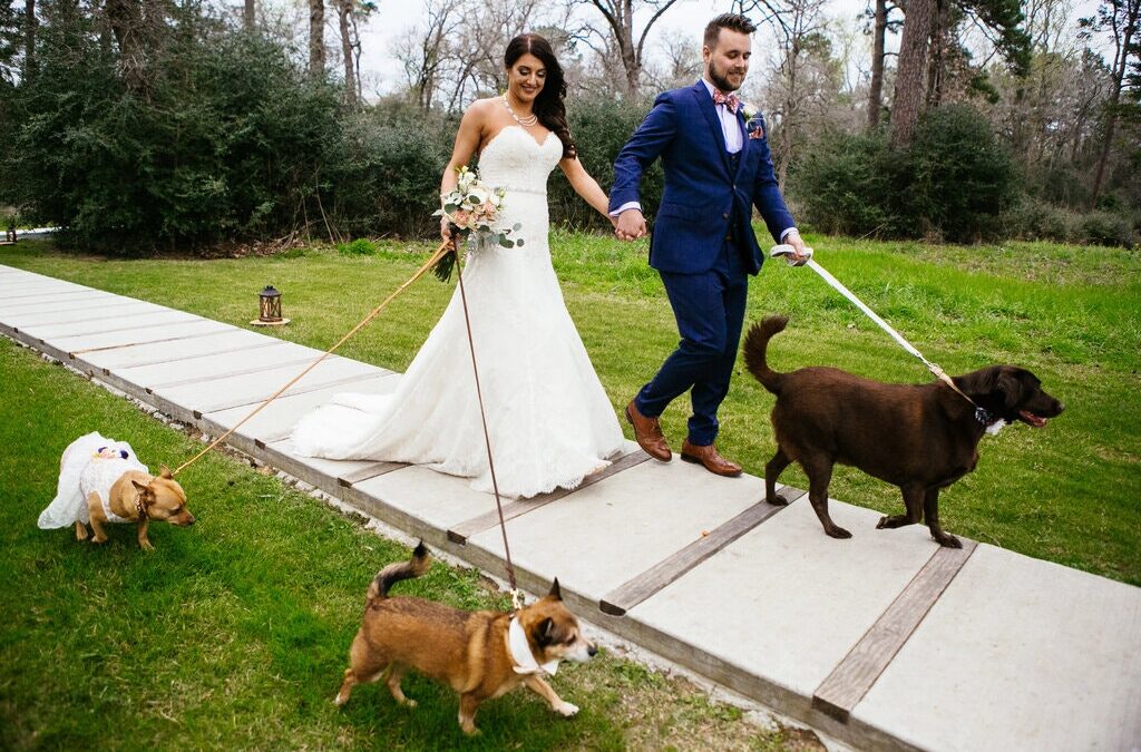 Prepping Your Pet for a Walk Down the Aisle? Hire a Concierge